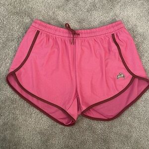 Tracksmith Van Cortland Shorts (Small)